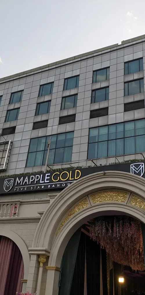 Mapple Gold