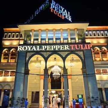 Royal Pepper Banquet (Tulip)
